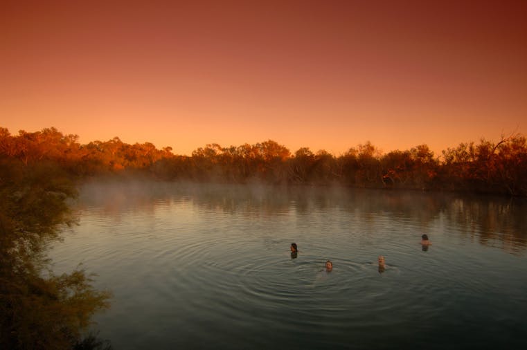 Dalhousie Springs, Witjira National Park