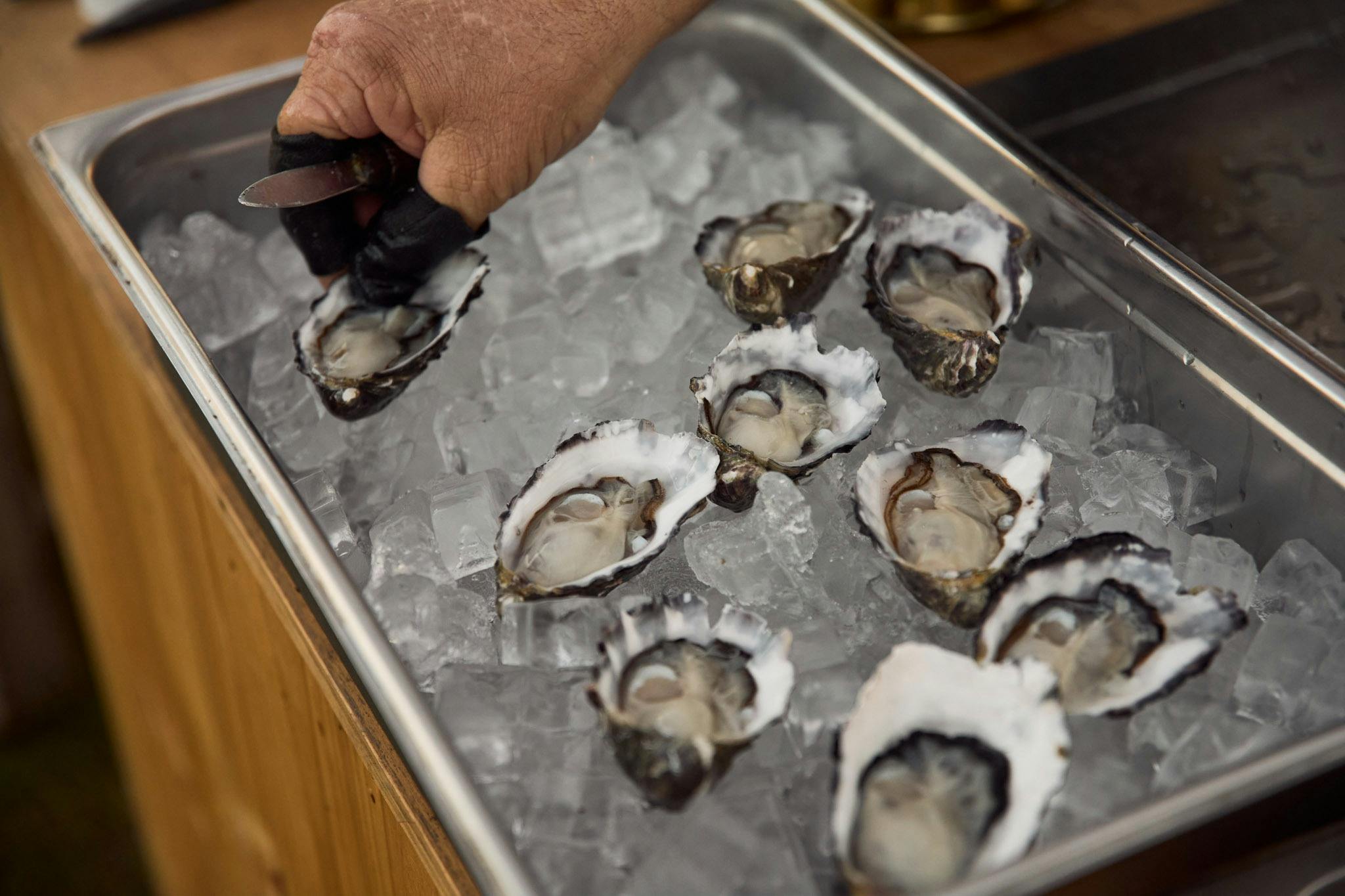 Fleurieu Food Festival