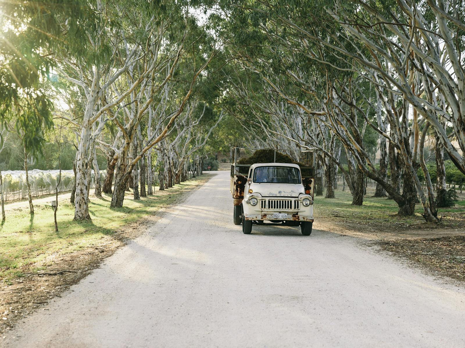 Peter Lehmann Wines