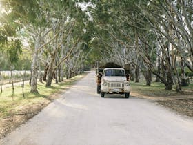 Peter Lehmann Wines