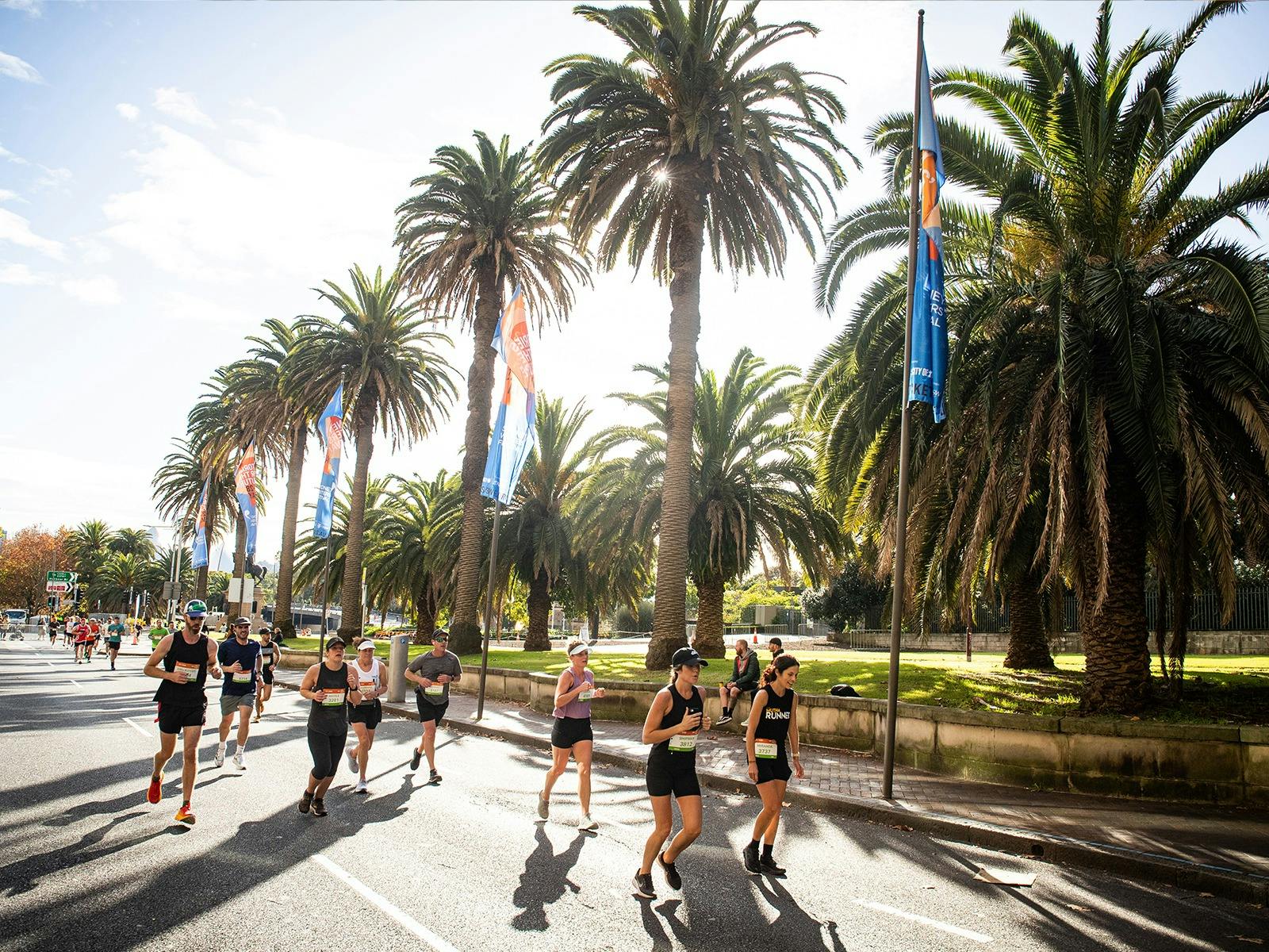 HOKA Runaway Sydney Half Marathon Sydney, Australia Official Travel & Website