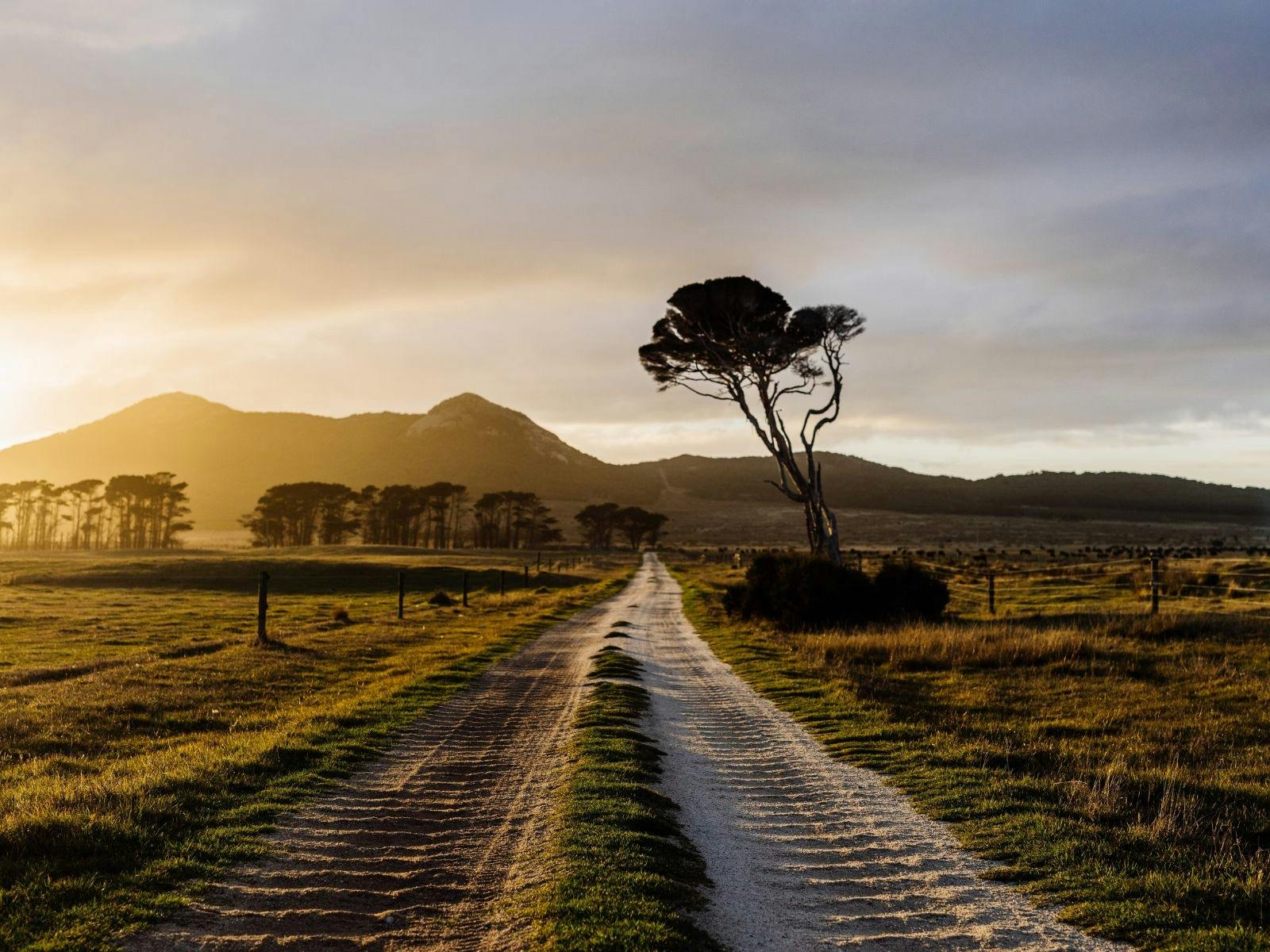 Flinders Island FarmlandFlinders Island Farmland