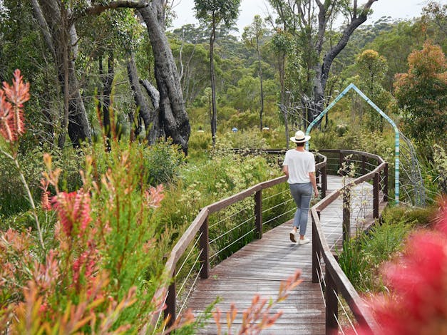 Jarrahland Wildflower Trail