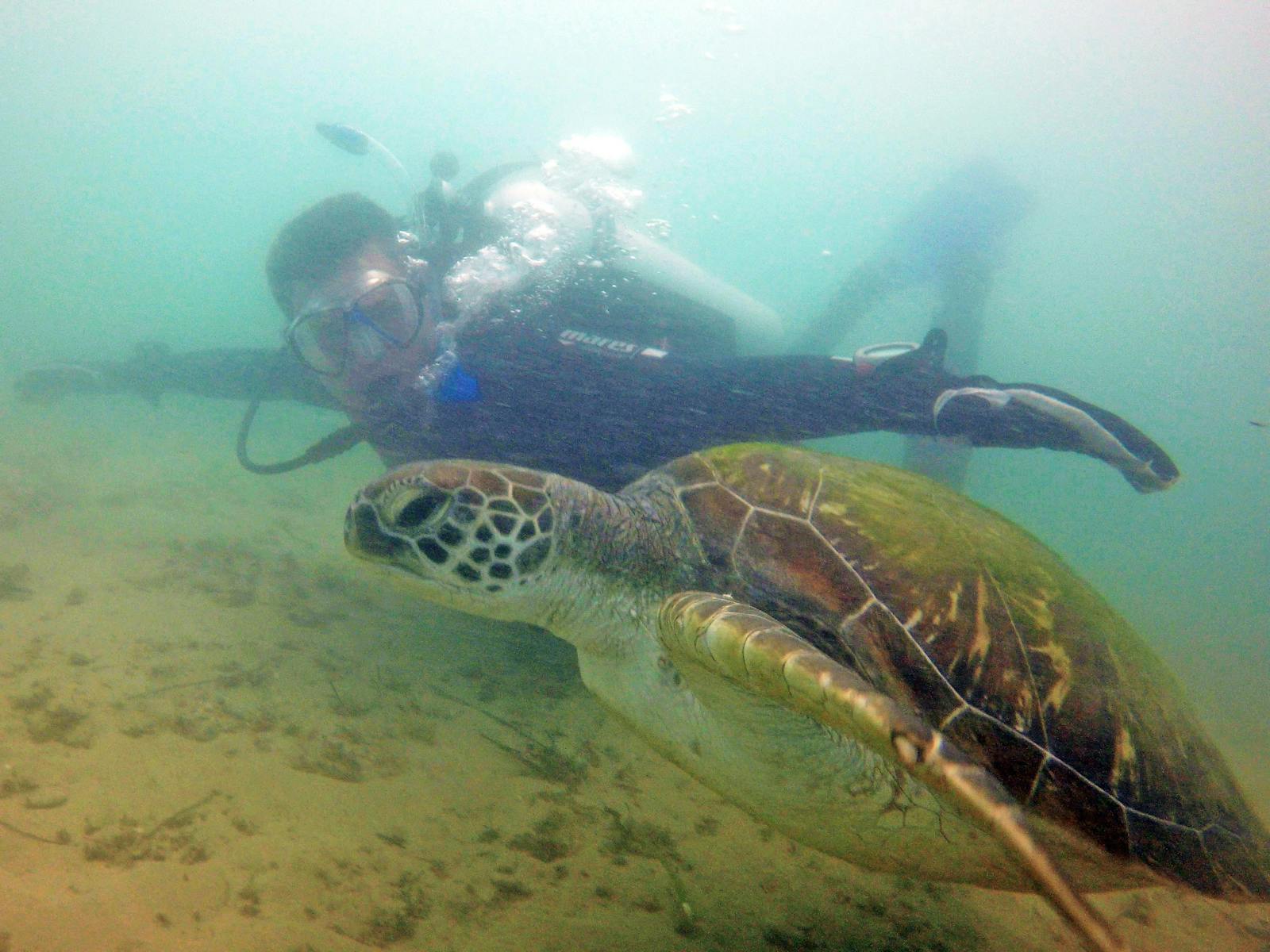 Gold Coast Underwater