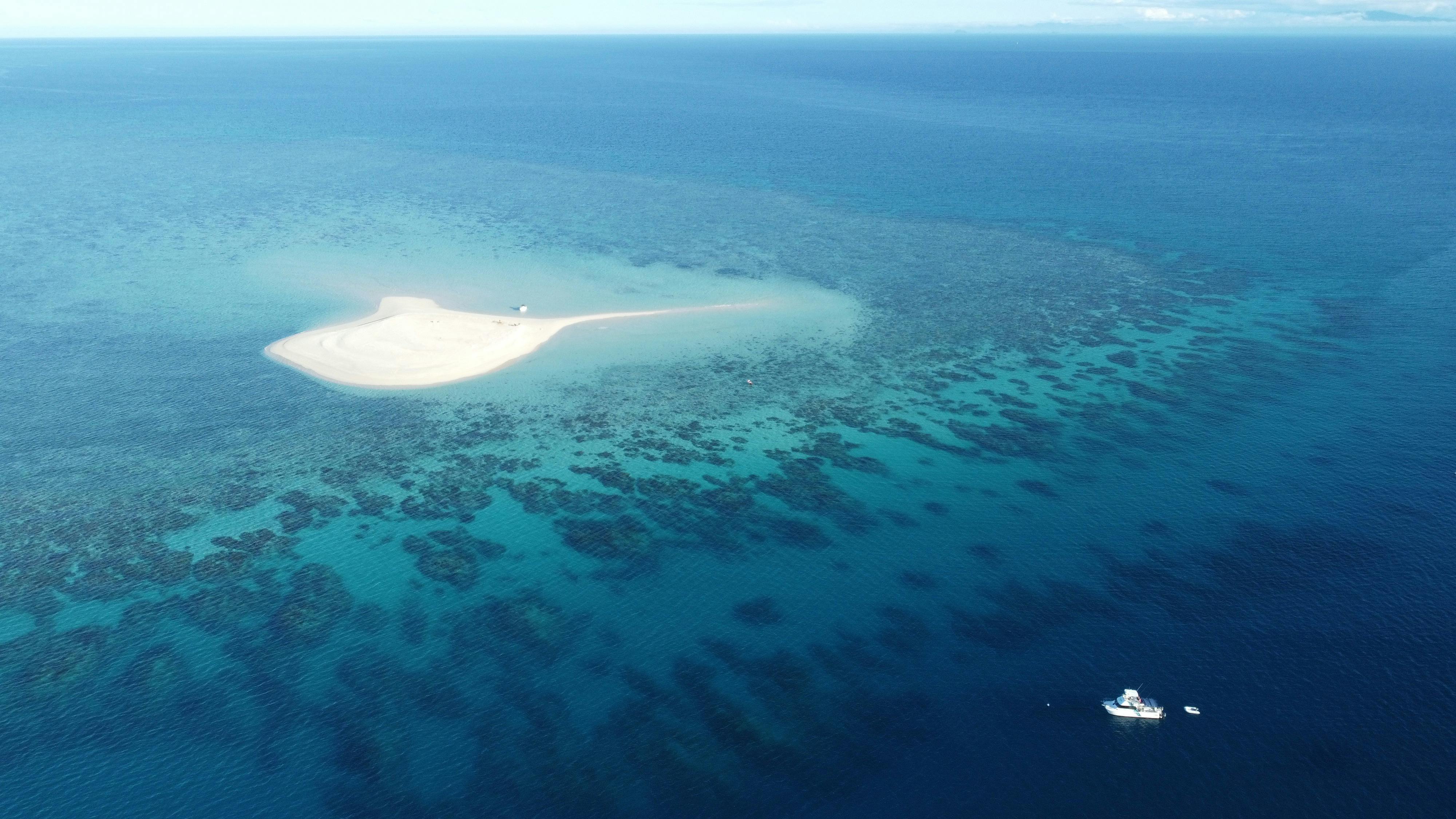 Reef Runner Charters