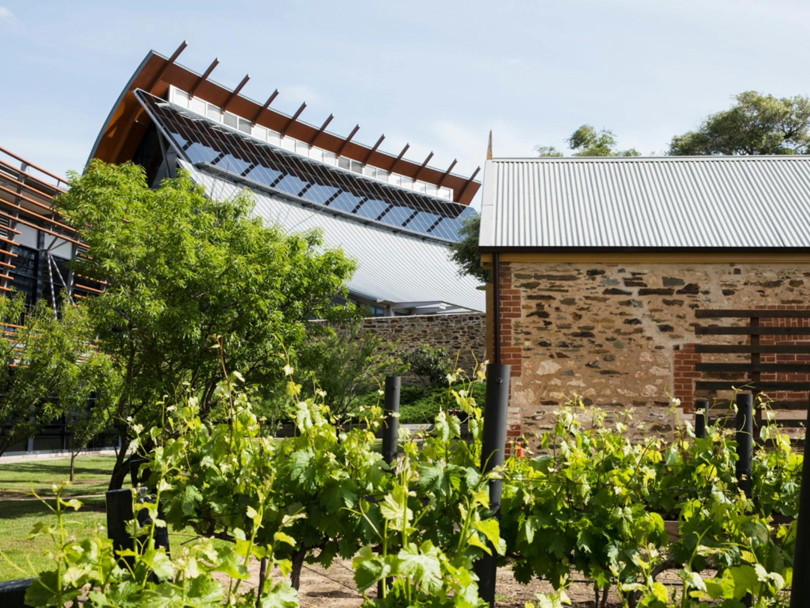 external view of vineyard and wine centre