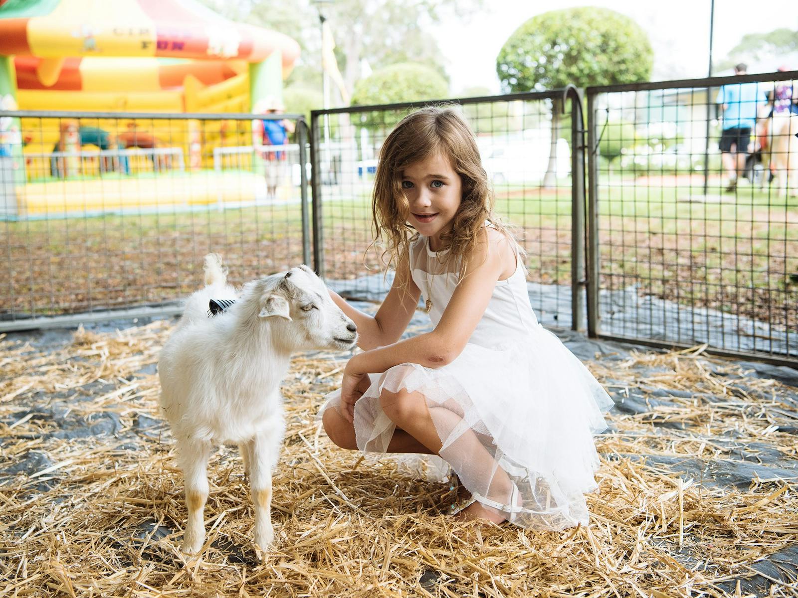 Image for Stakes Day