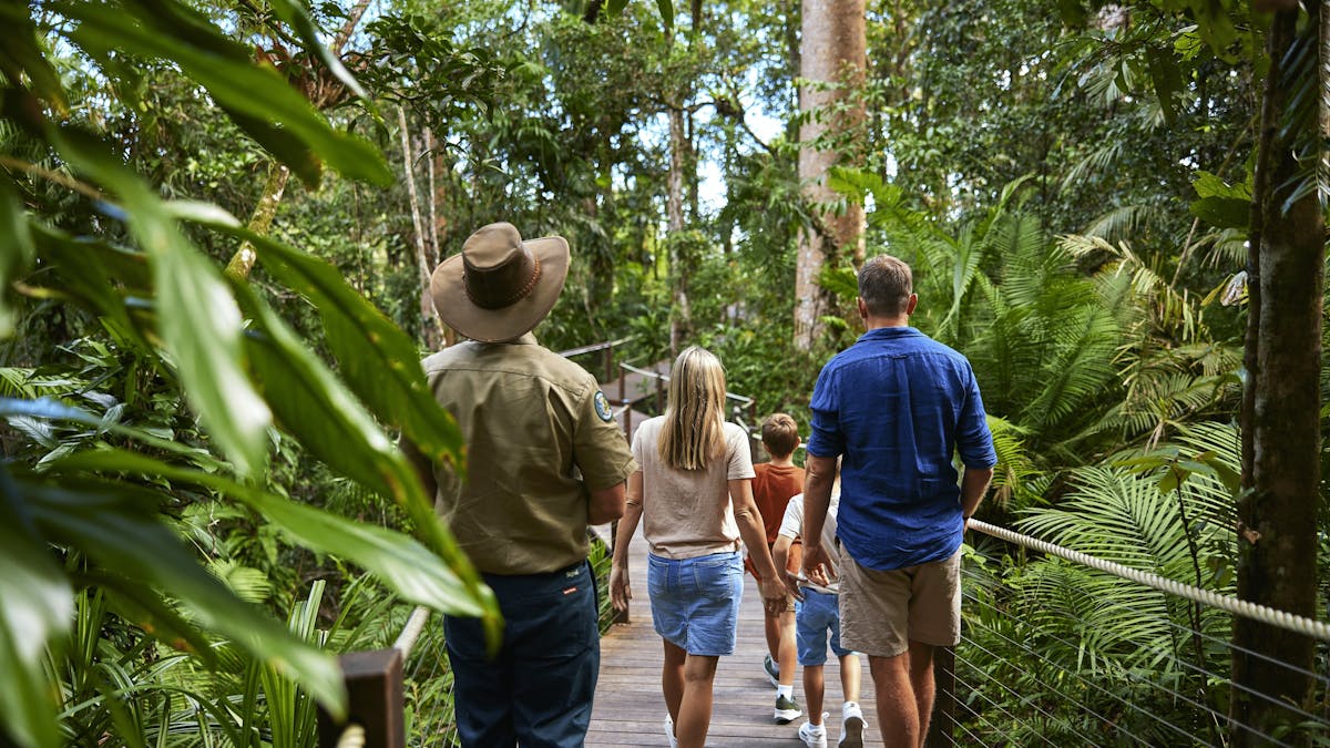 Ranger guided tour at Red Peak Station - family learning the stories of the ancient rainforest