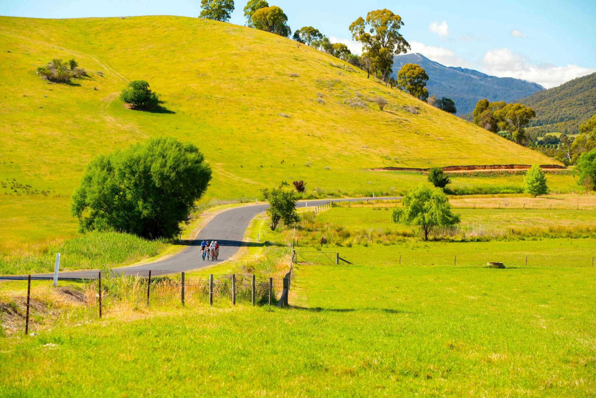 Road cycling in Mt Beauty