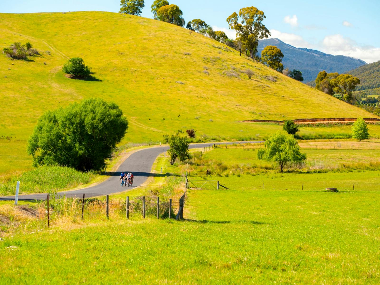 Road cycling in Mt Beauty