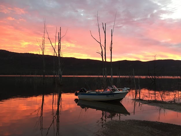 Lake Bellfield