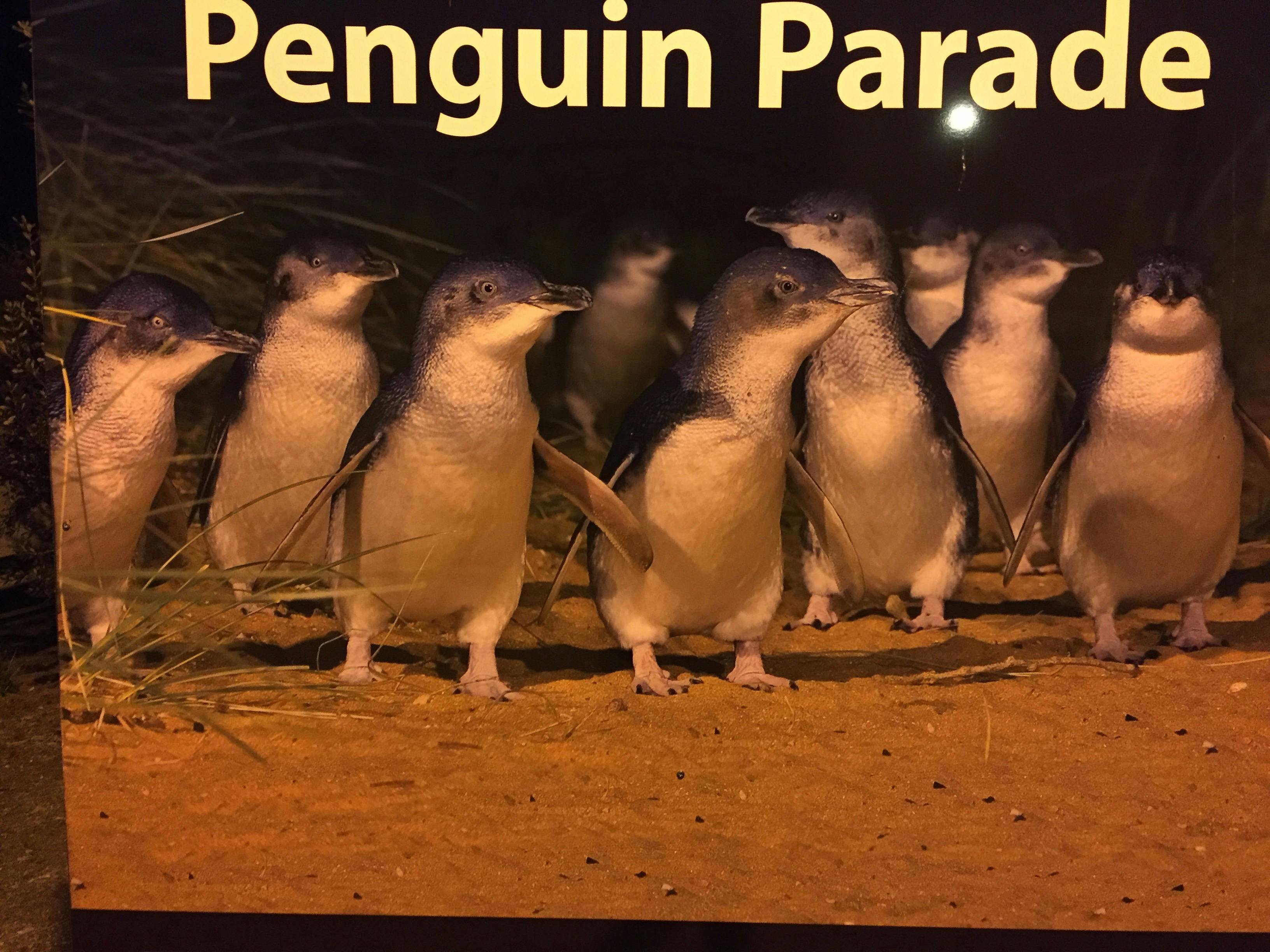 Penguins