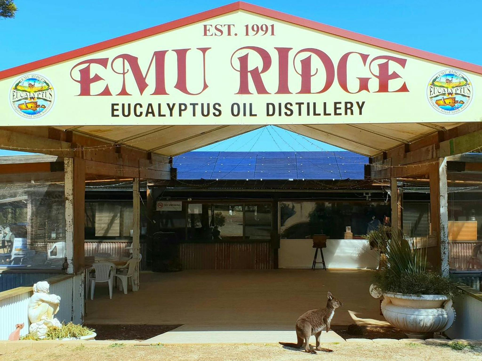 A kangaroo sits in the entry way of Emu Ridge Oil Distillery