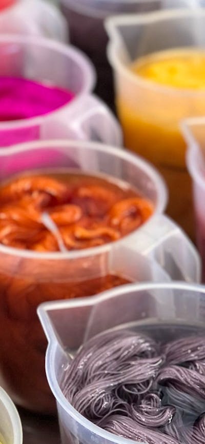Beginners Dye Workshop