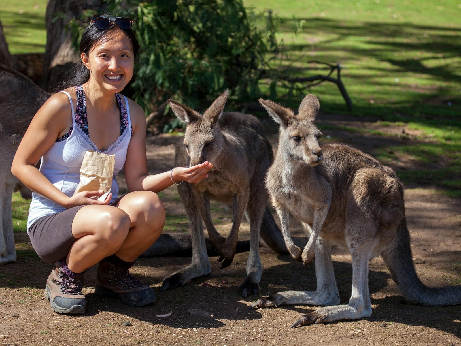 Bonorong