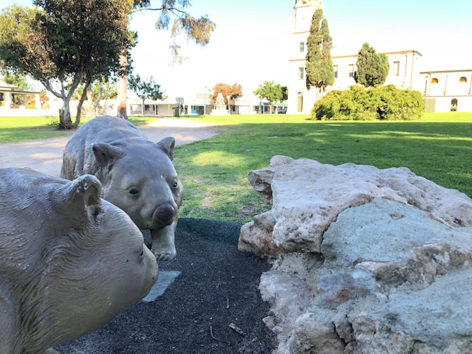 Wombat Statues Moonta