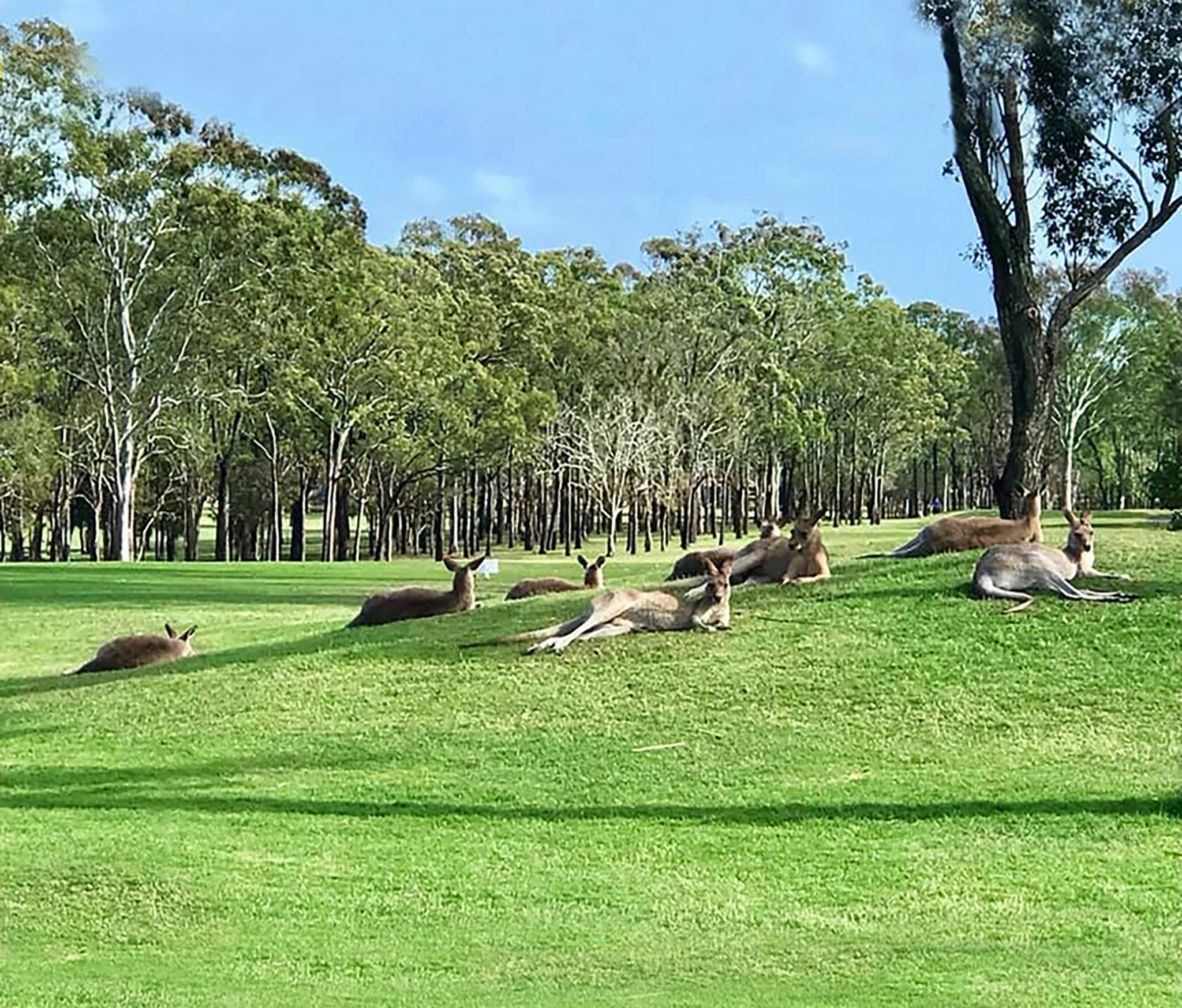 The Clubhouse Hervey Bay
