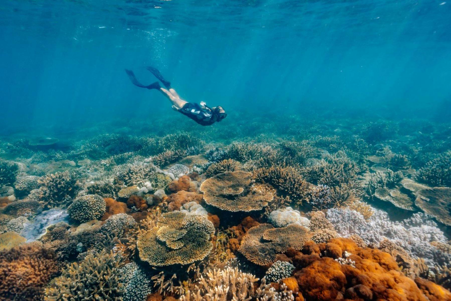 Snorkelling