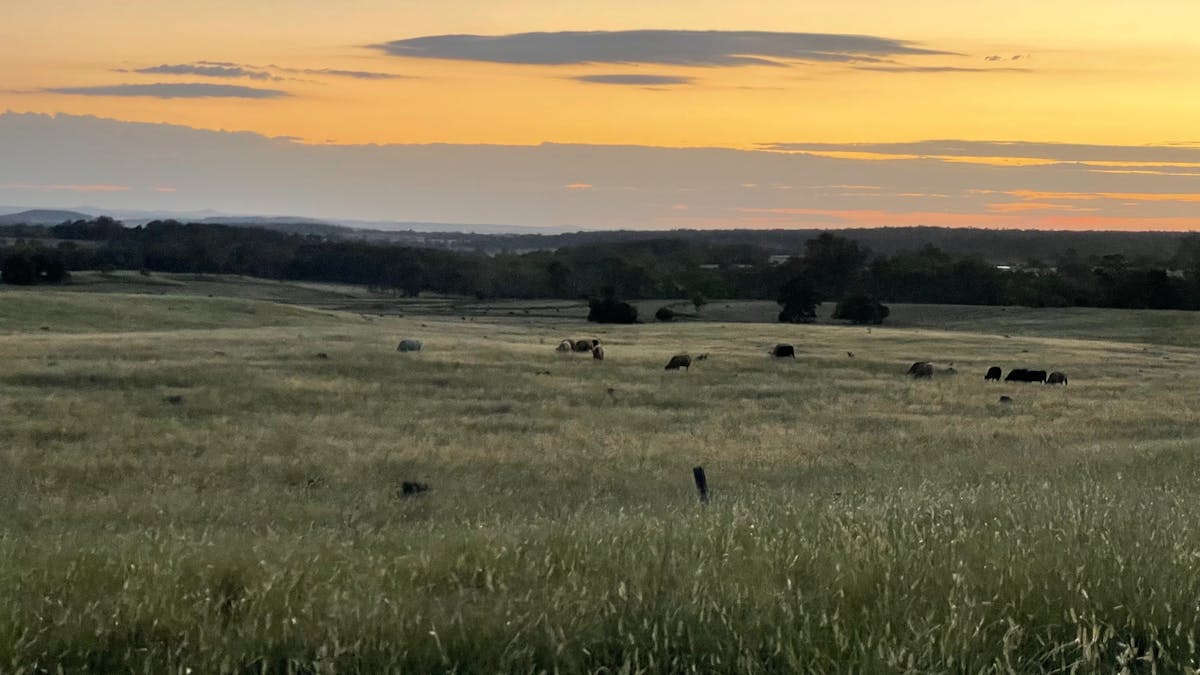Tiny Home View