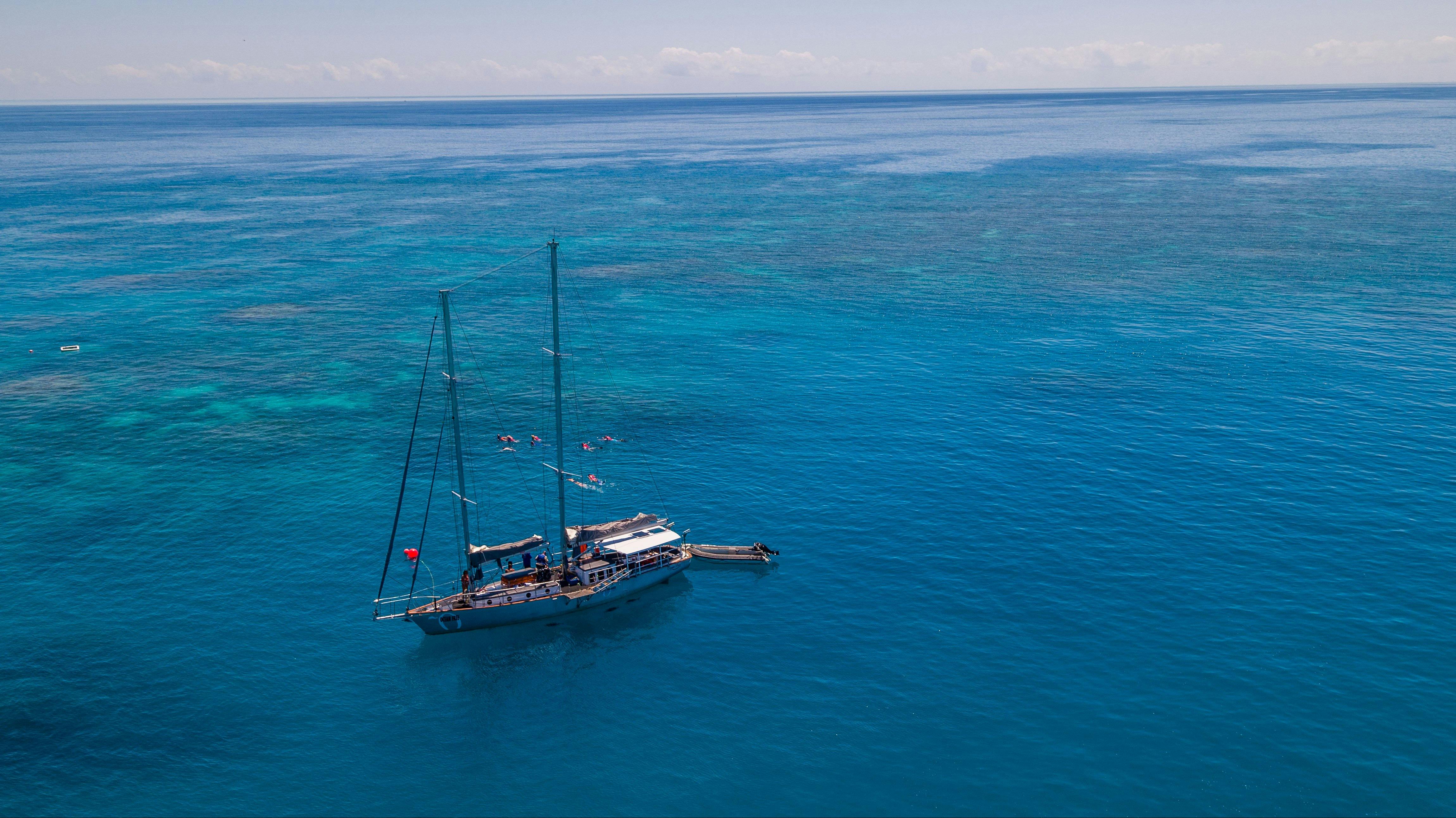 Snorkelling off Ocean Free on exclusive reef site