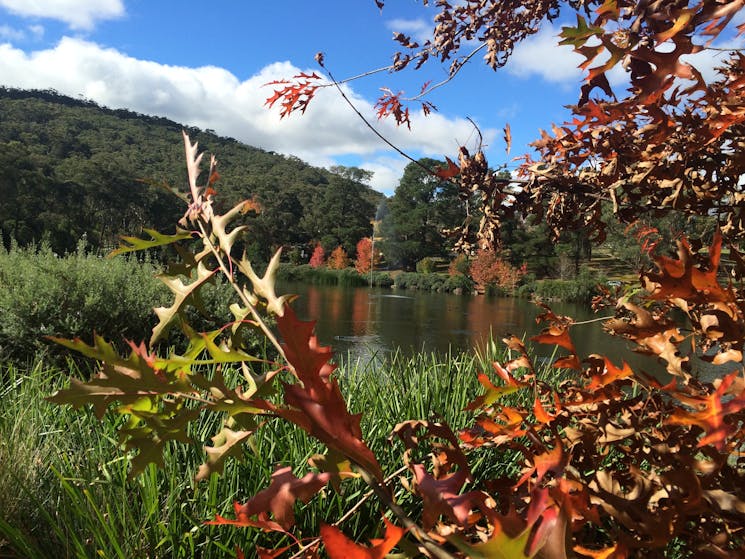 Lake Alexandra