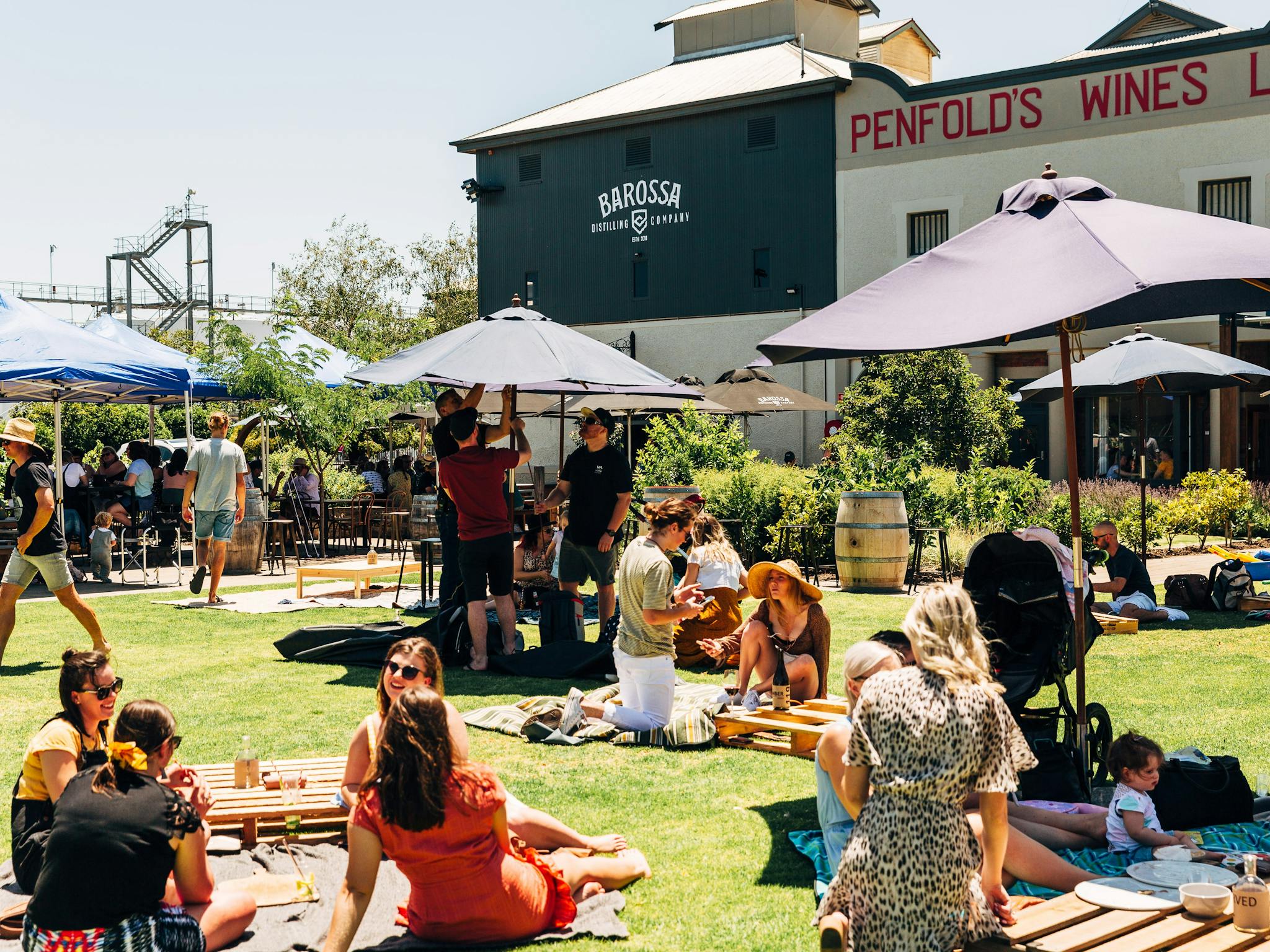 Exterior photo of the Distillery Bar with people relaxing with drinks and food on the lawn