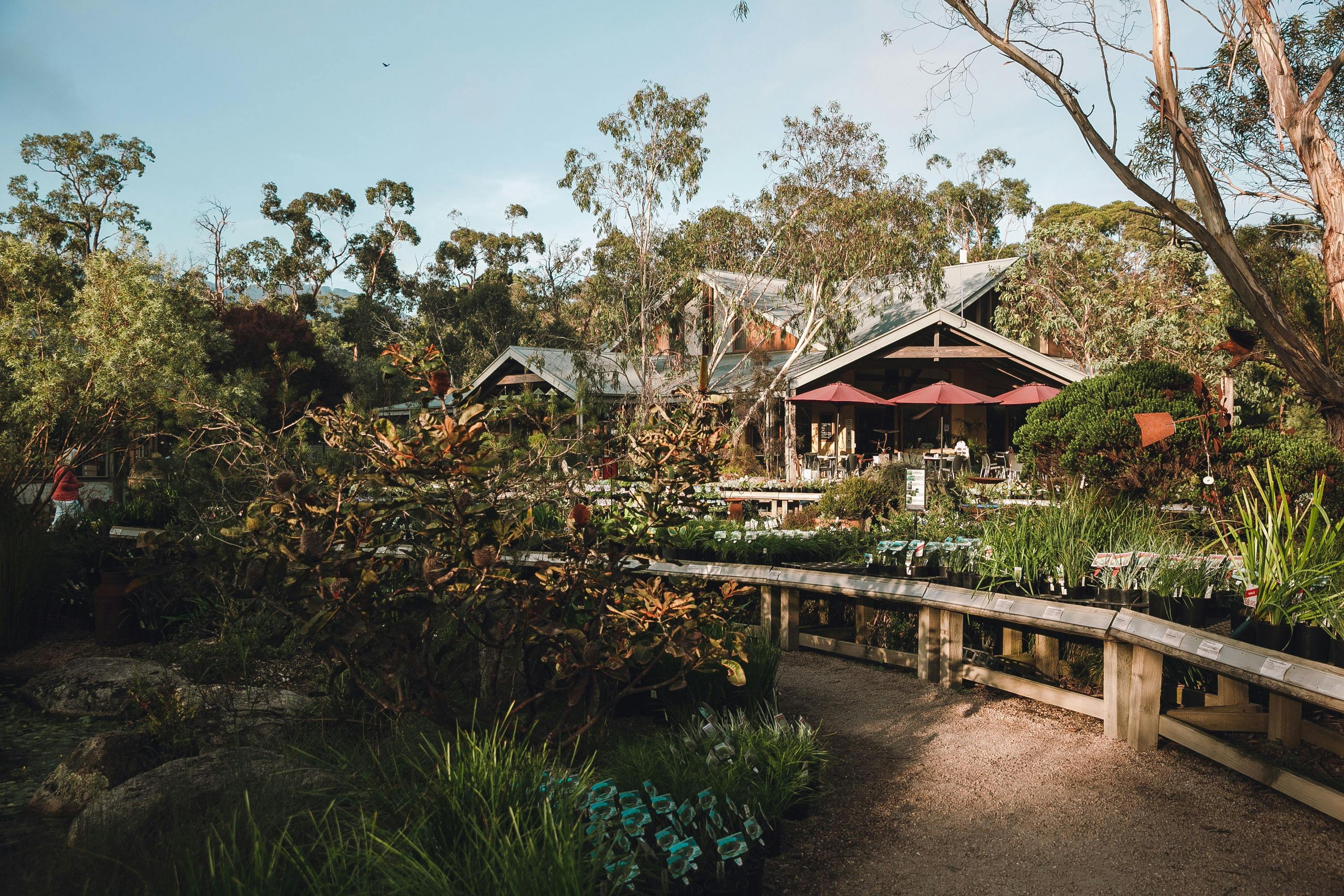 Kuranga Native Nursery Mothers Day High Tea