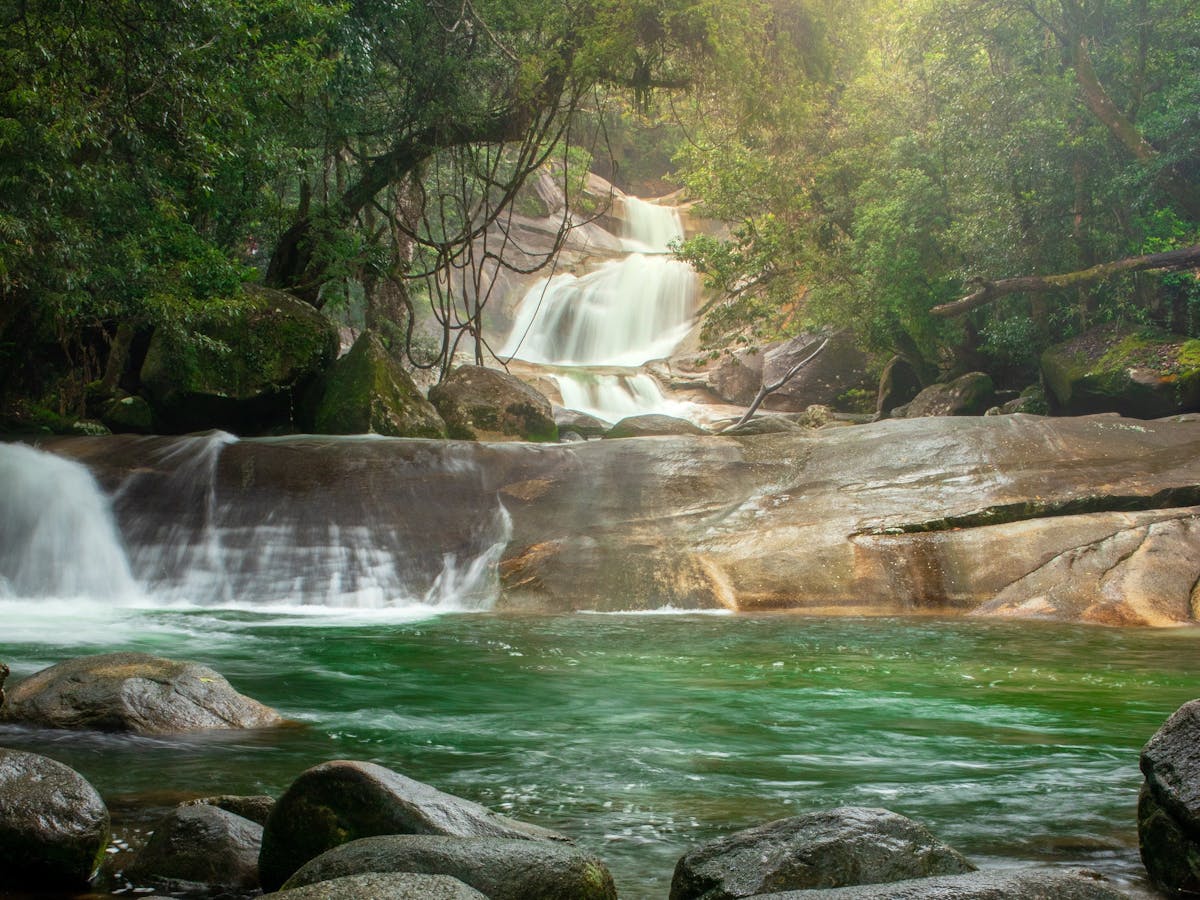 Josephine Falls tour Wooroonooran Safaris