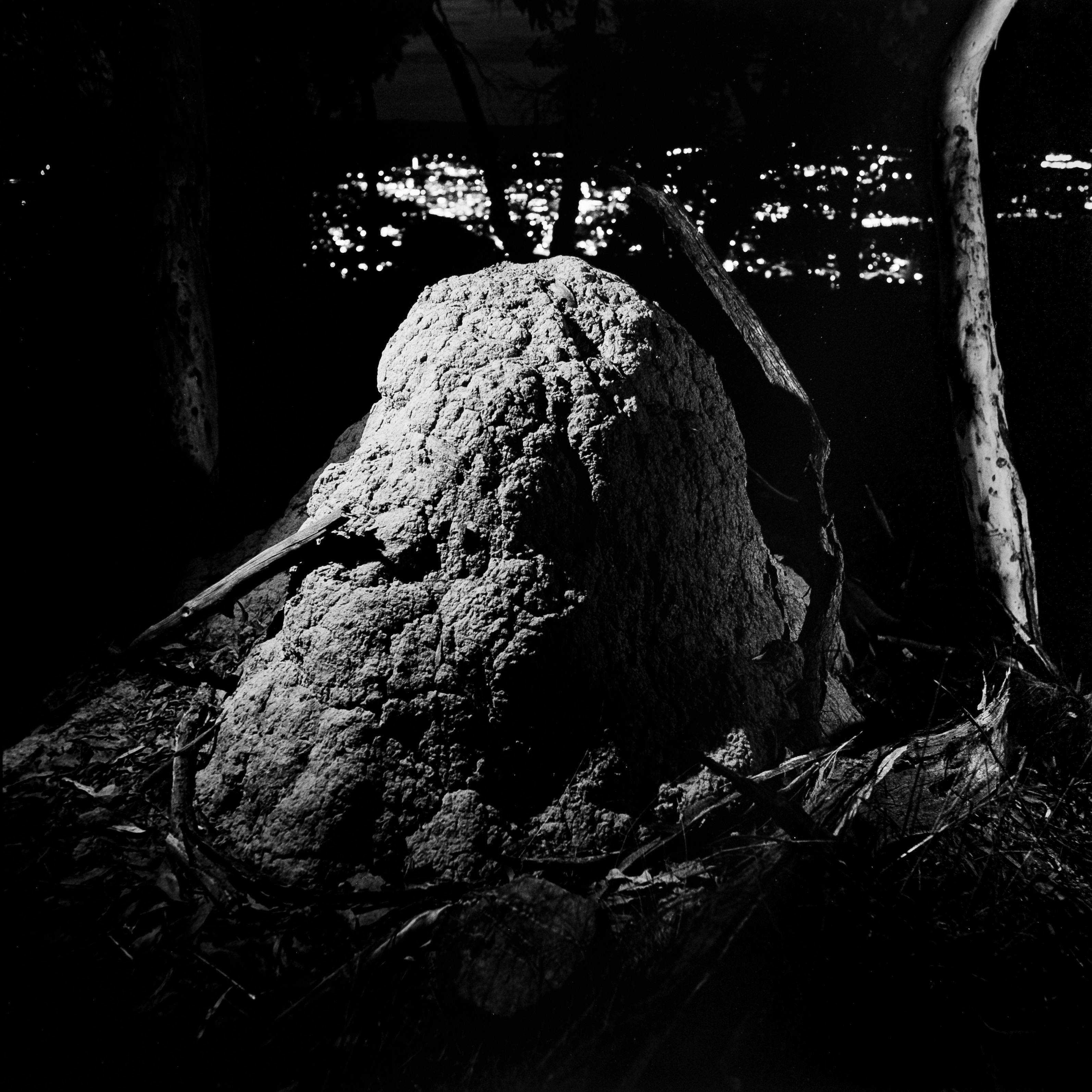 Termite mound over looking city lights. Black and white photo.