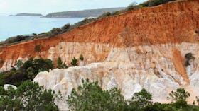 Pinnacles Loop Walking Track