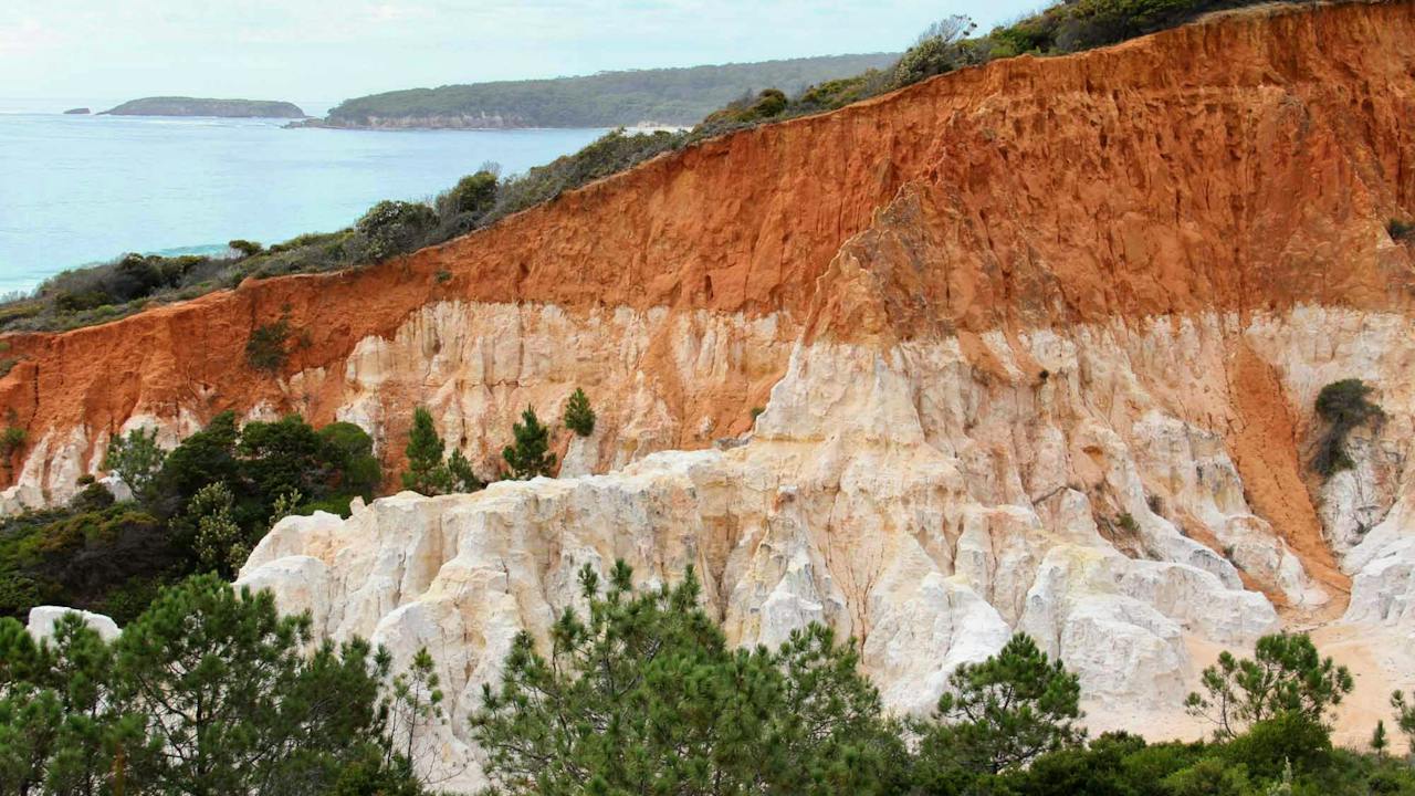Pinnacles Loop Walking Track