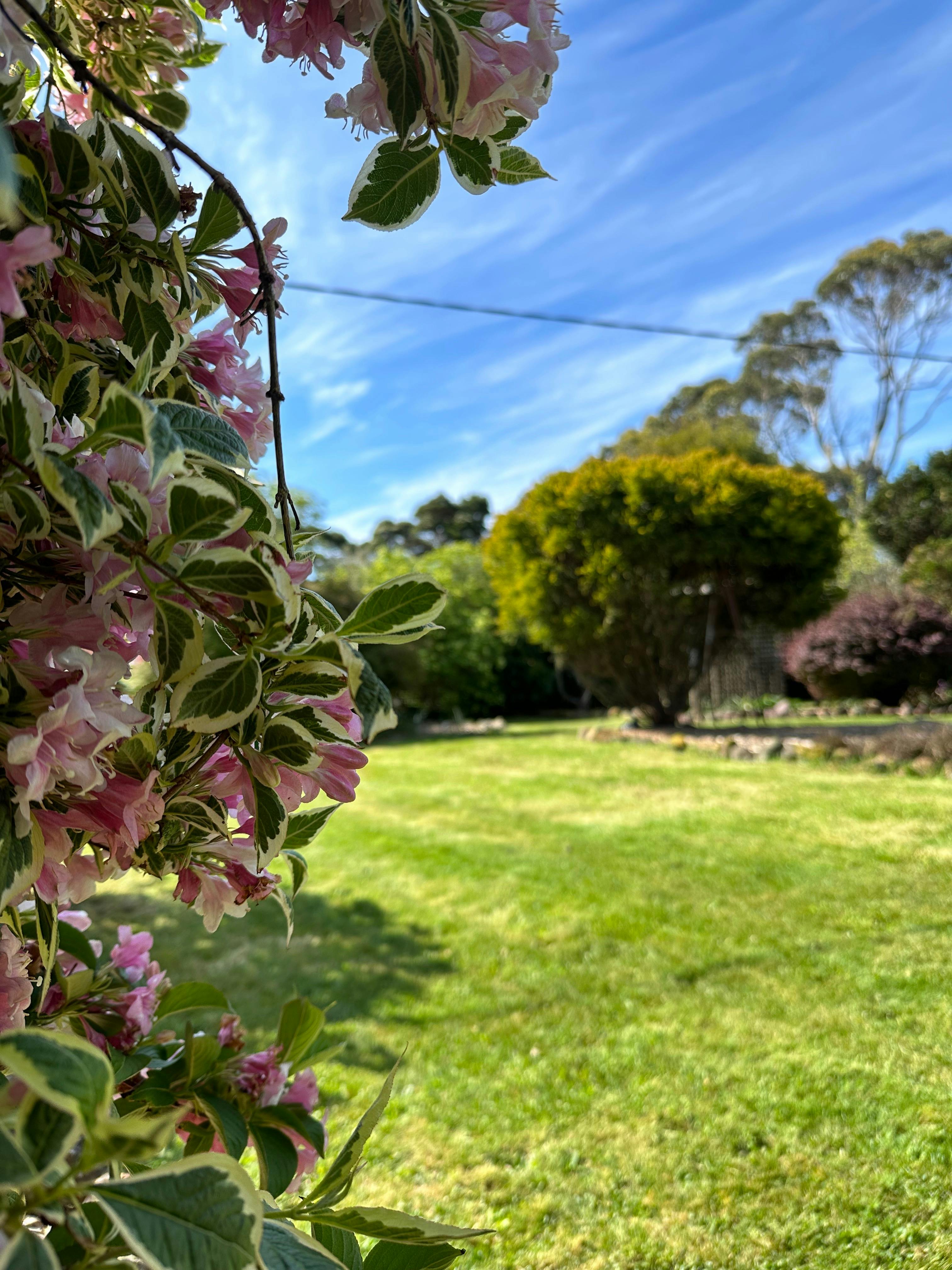 Two Twenty Two Farmstay