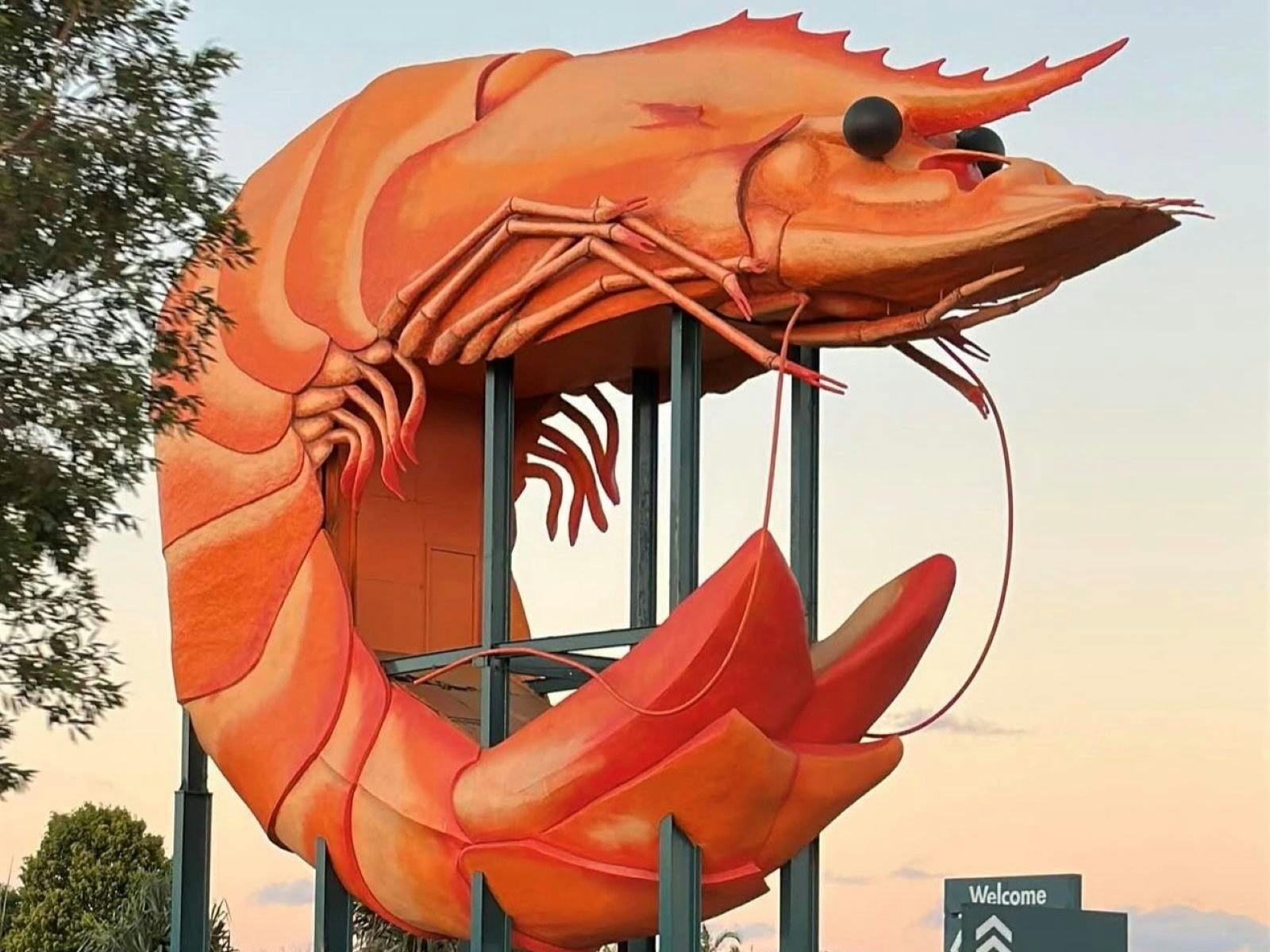 Big Prawn Ballina