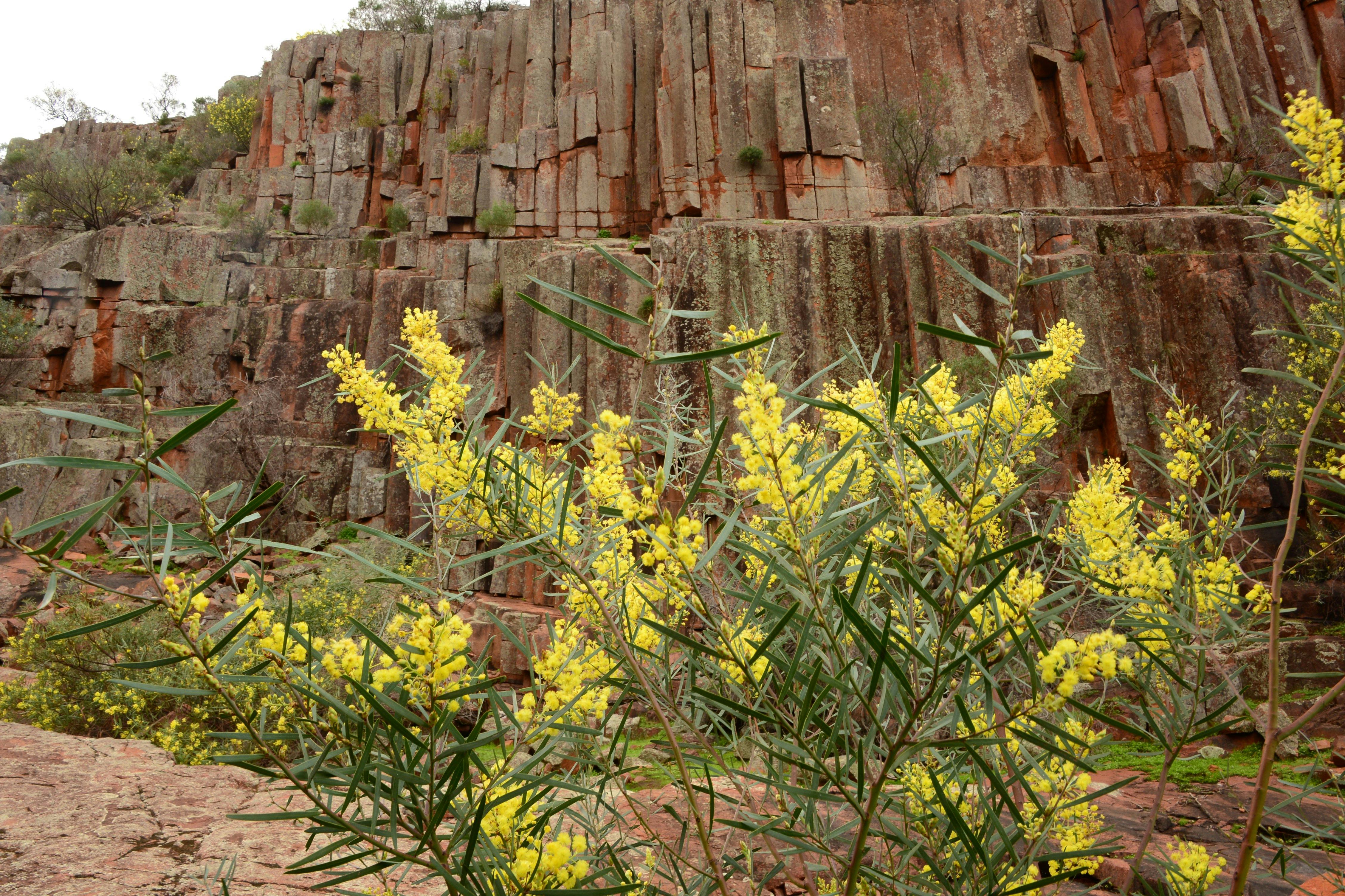 Spectacular colours and forms are displayed through the Gawler Ranges