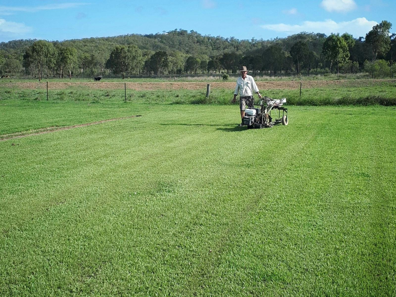 When you buy turf from us you are getting a locally grown low maintenance species
