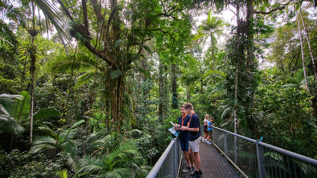 Aerial Walkway