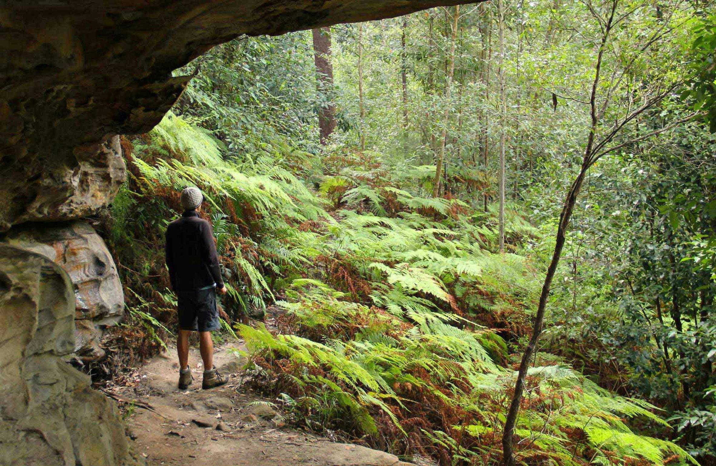 Man walking on the 11km walking track. Photo: John Yurasek