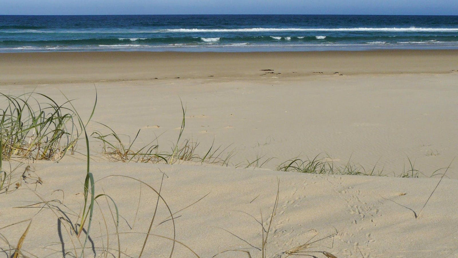 Bongil Beach