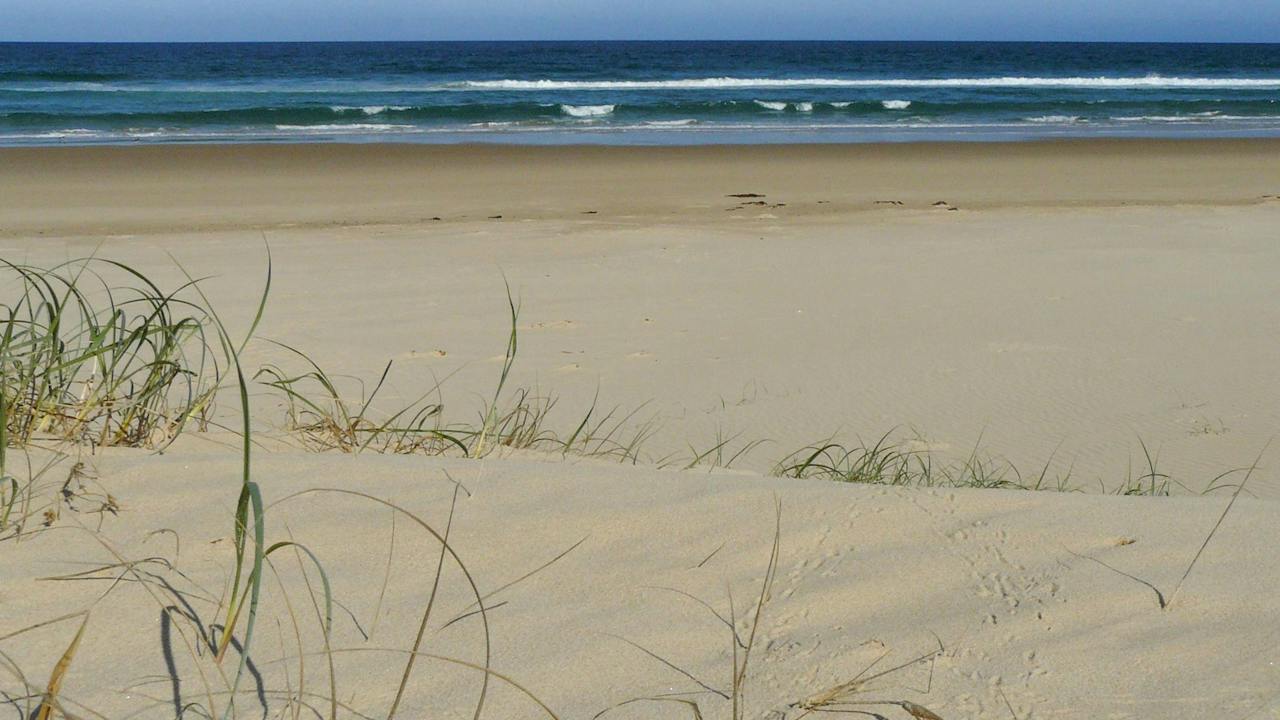 Bongil Beach