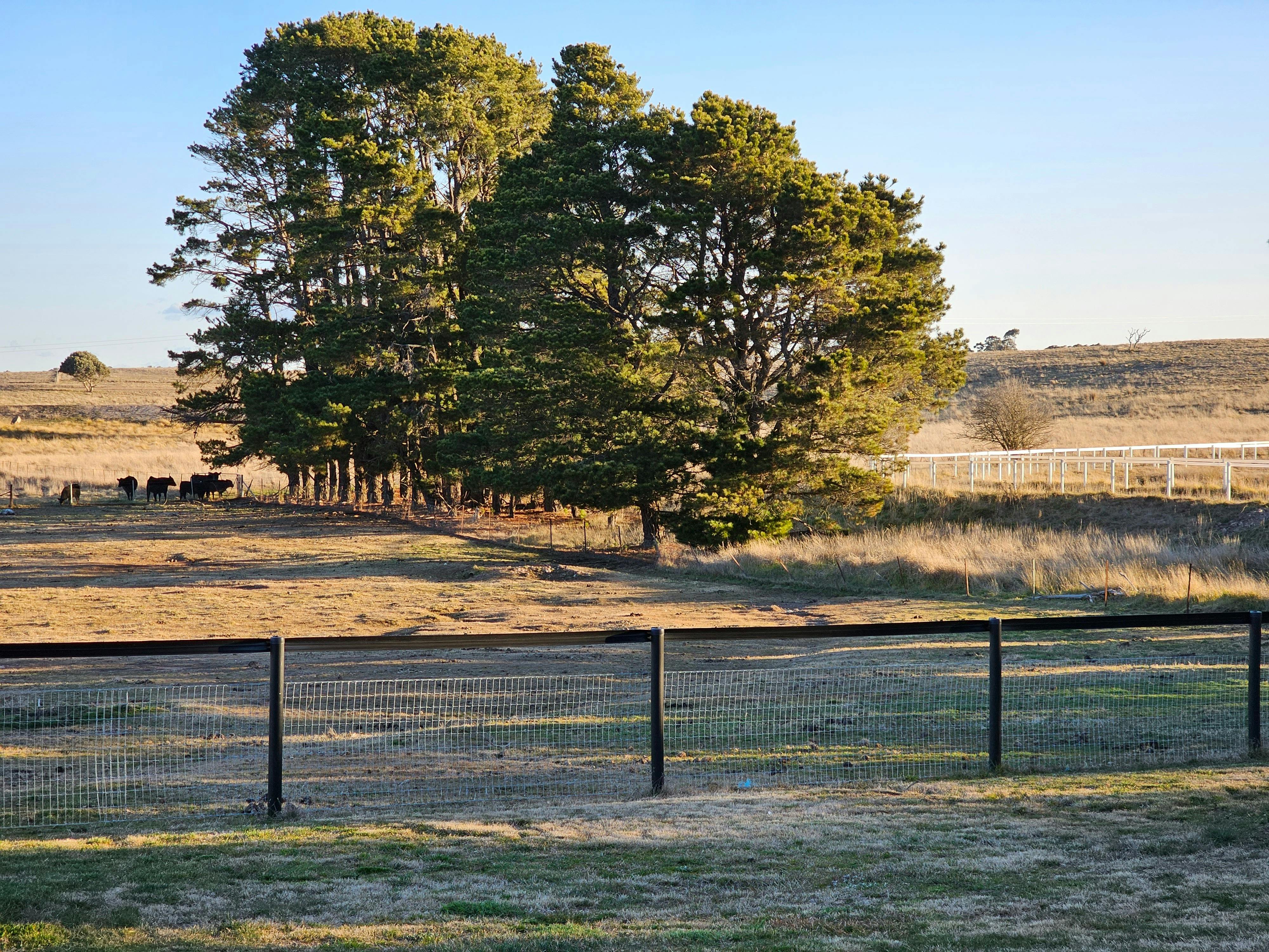 トラワラ ファーム ステイ
