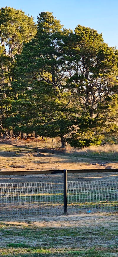 Trawalla House View