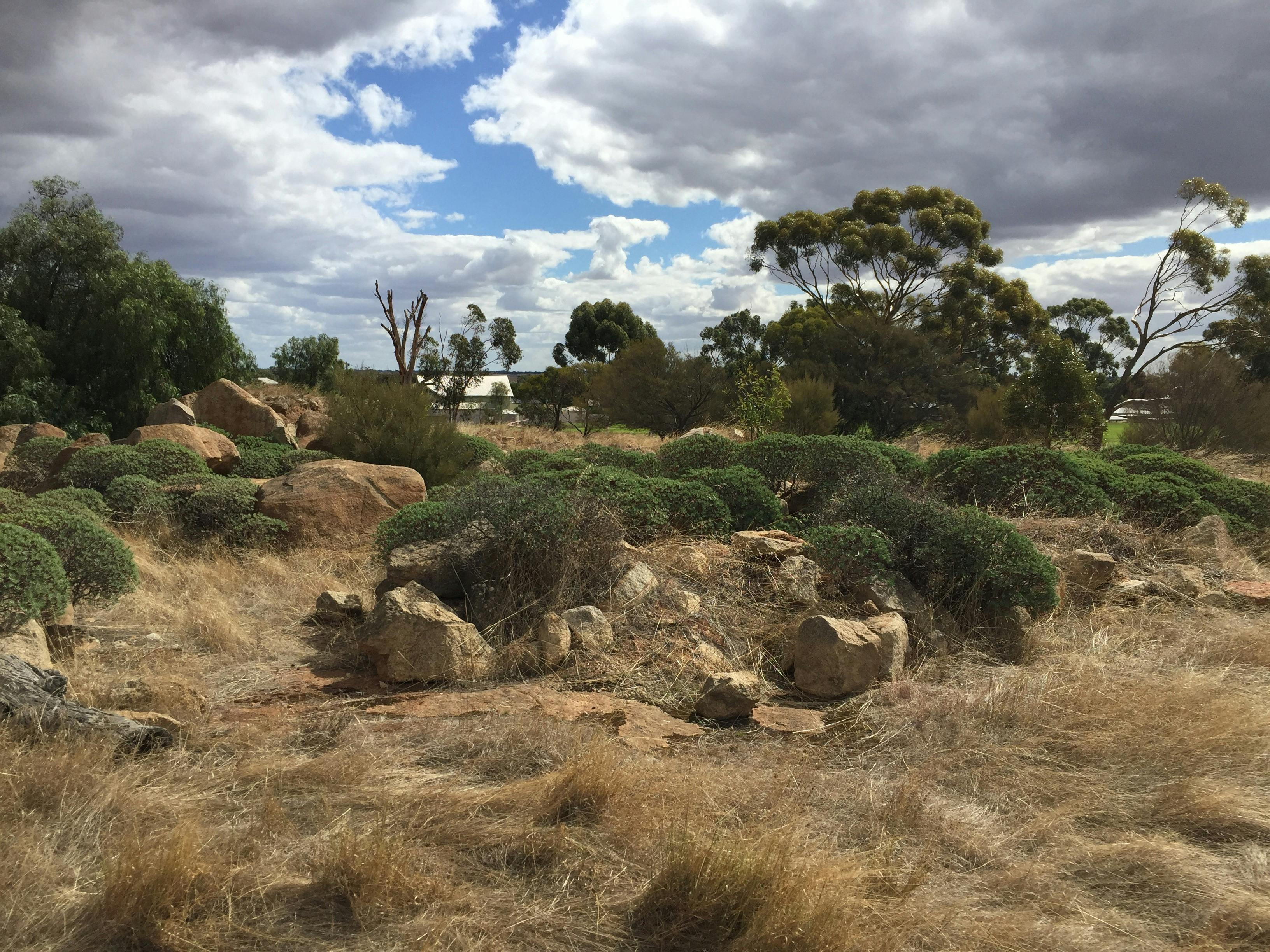 Mount Wycheproof