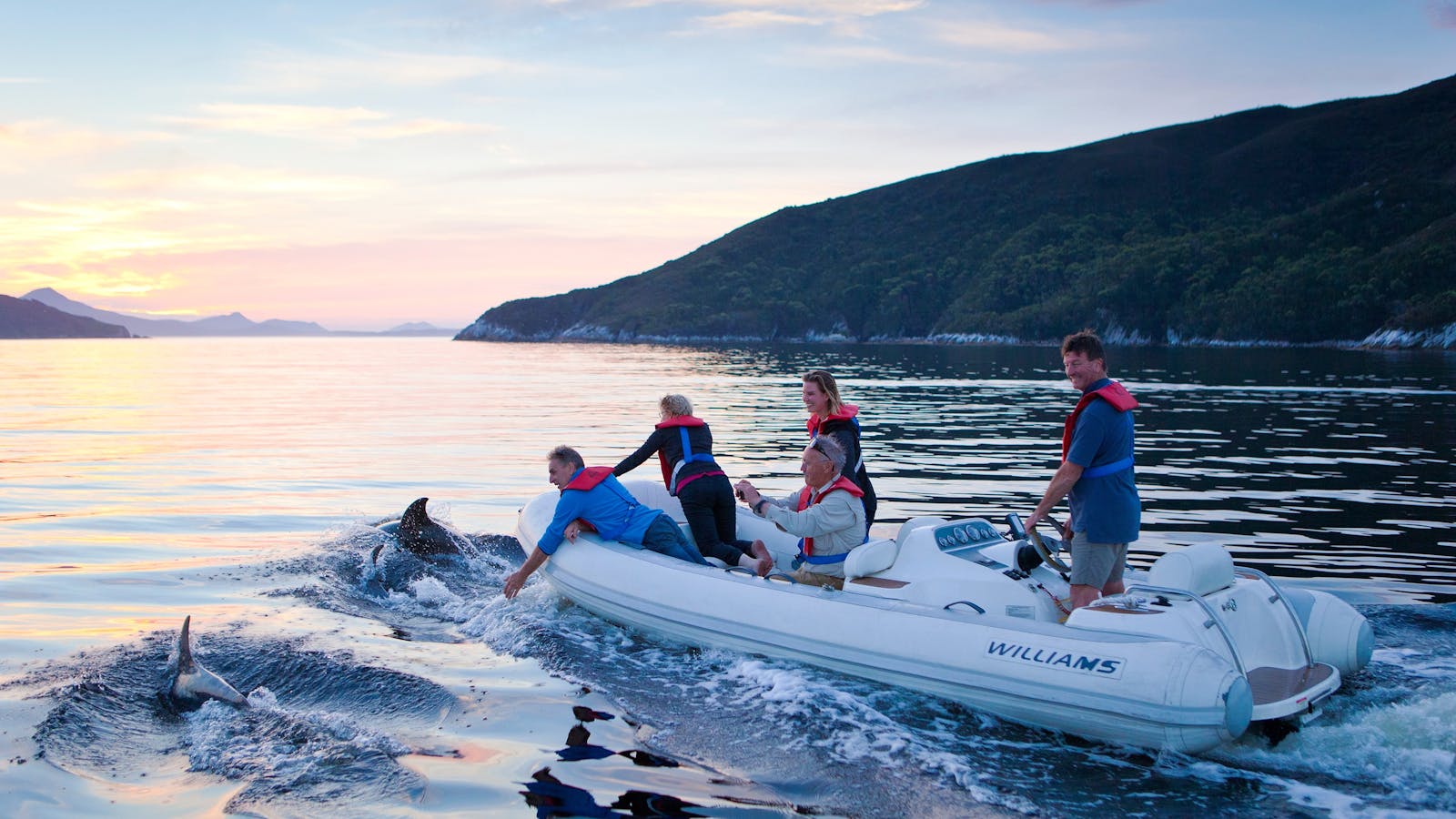 Guests in our tender are joined by dolphins at sunset