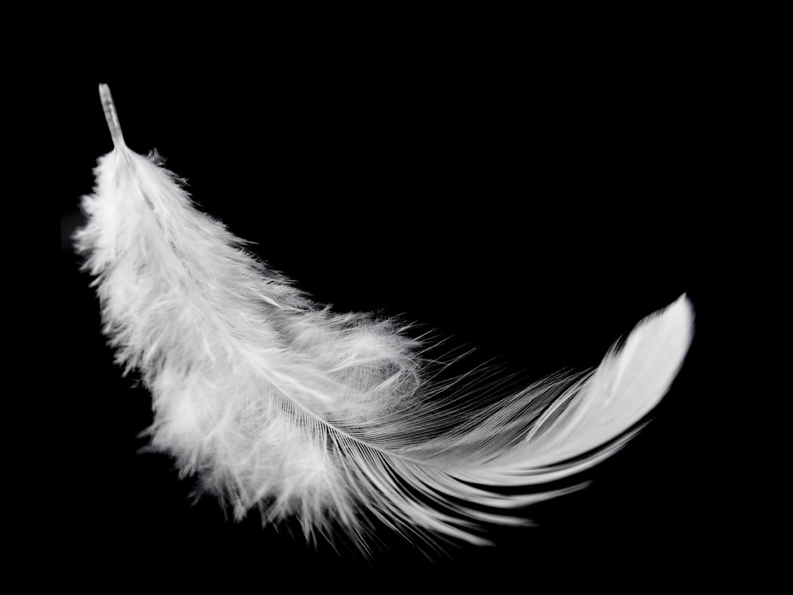Ballet Preljocaj – Swan Lake