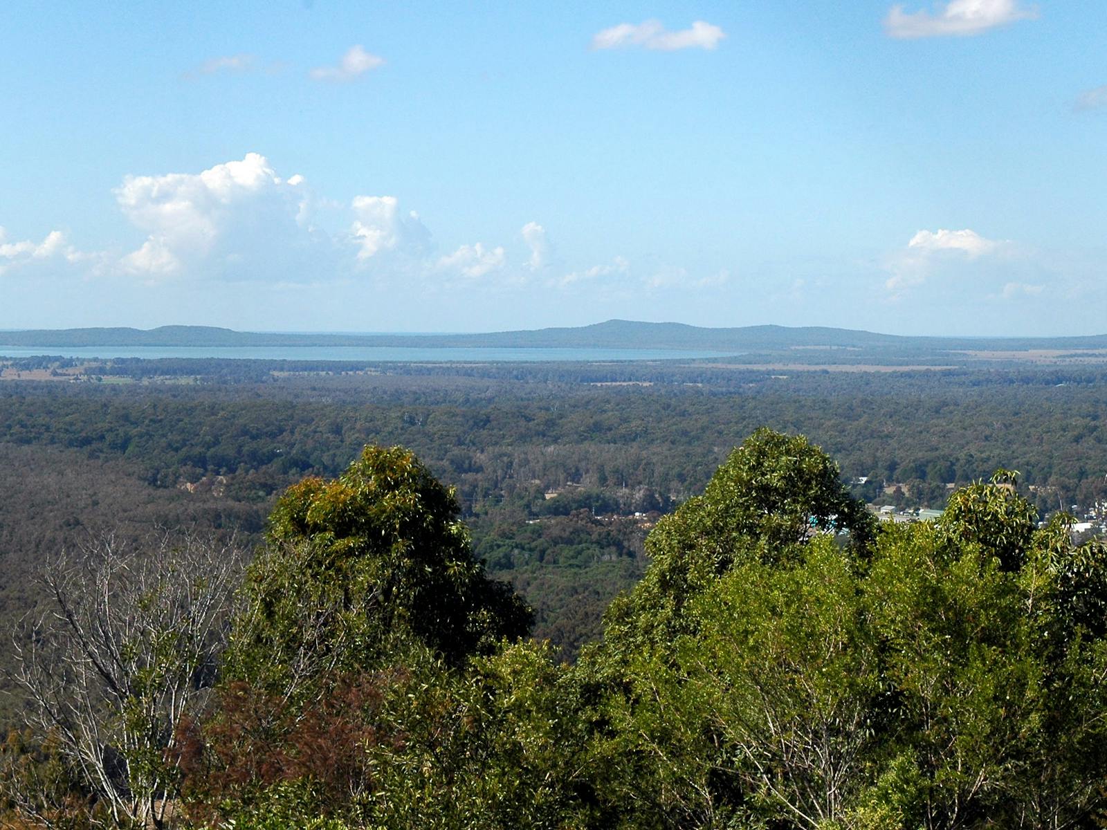Maclean Lookout