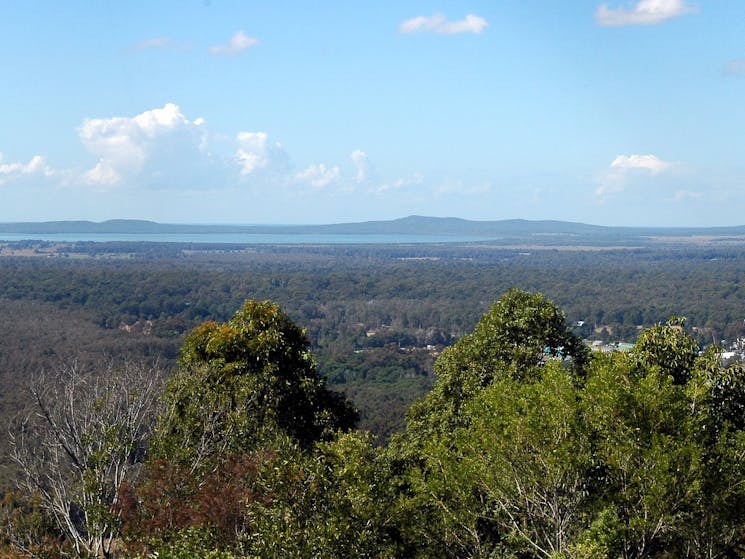 Maclean Lookout