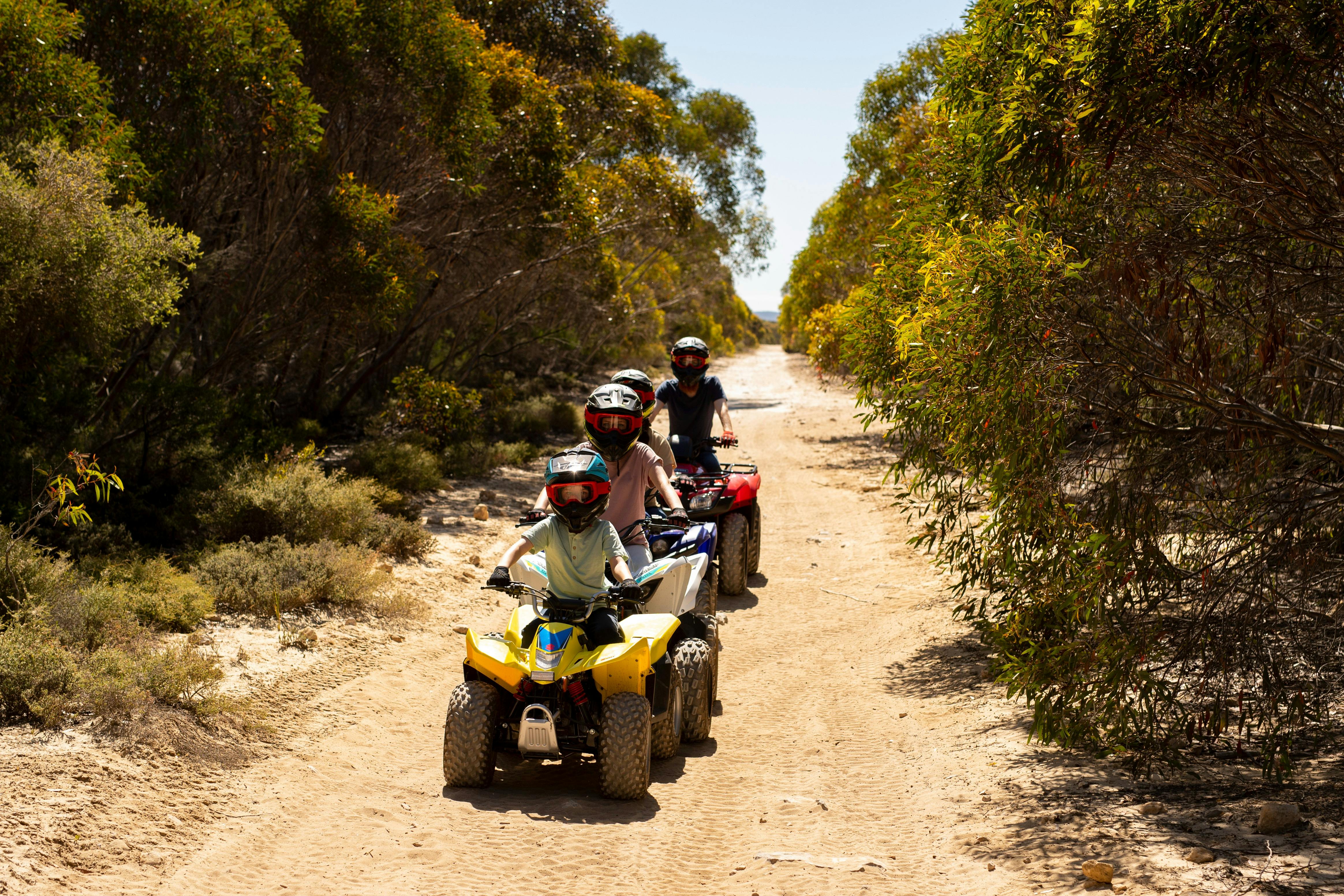 Quad Bike Family Honda