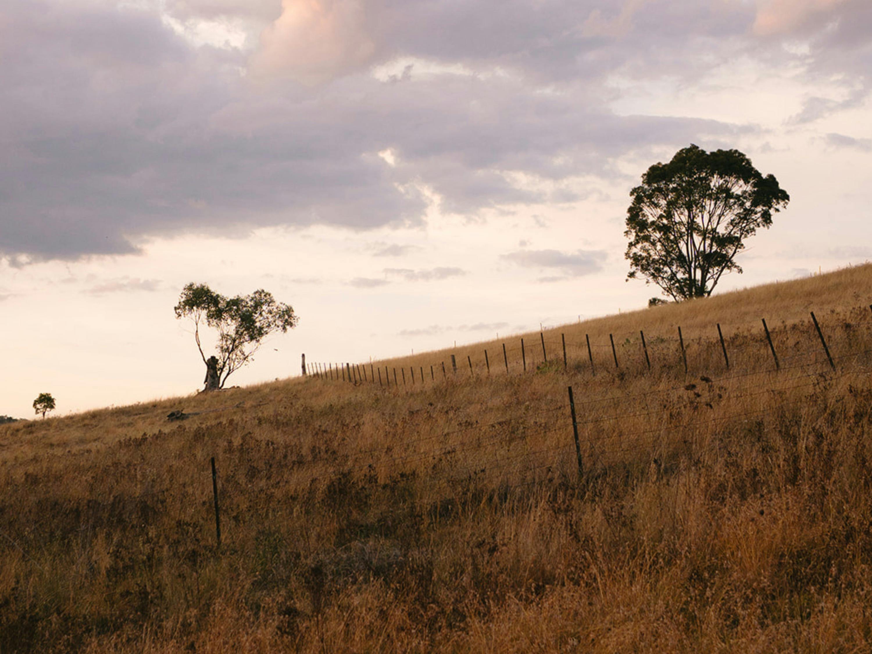Nature surrounds the cabin