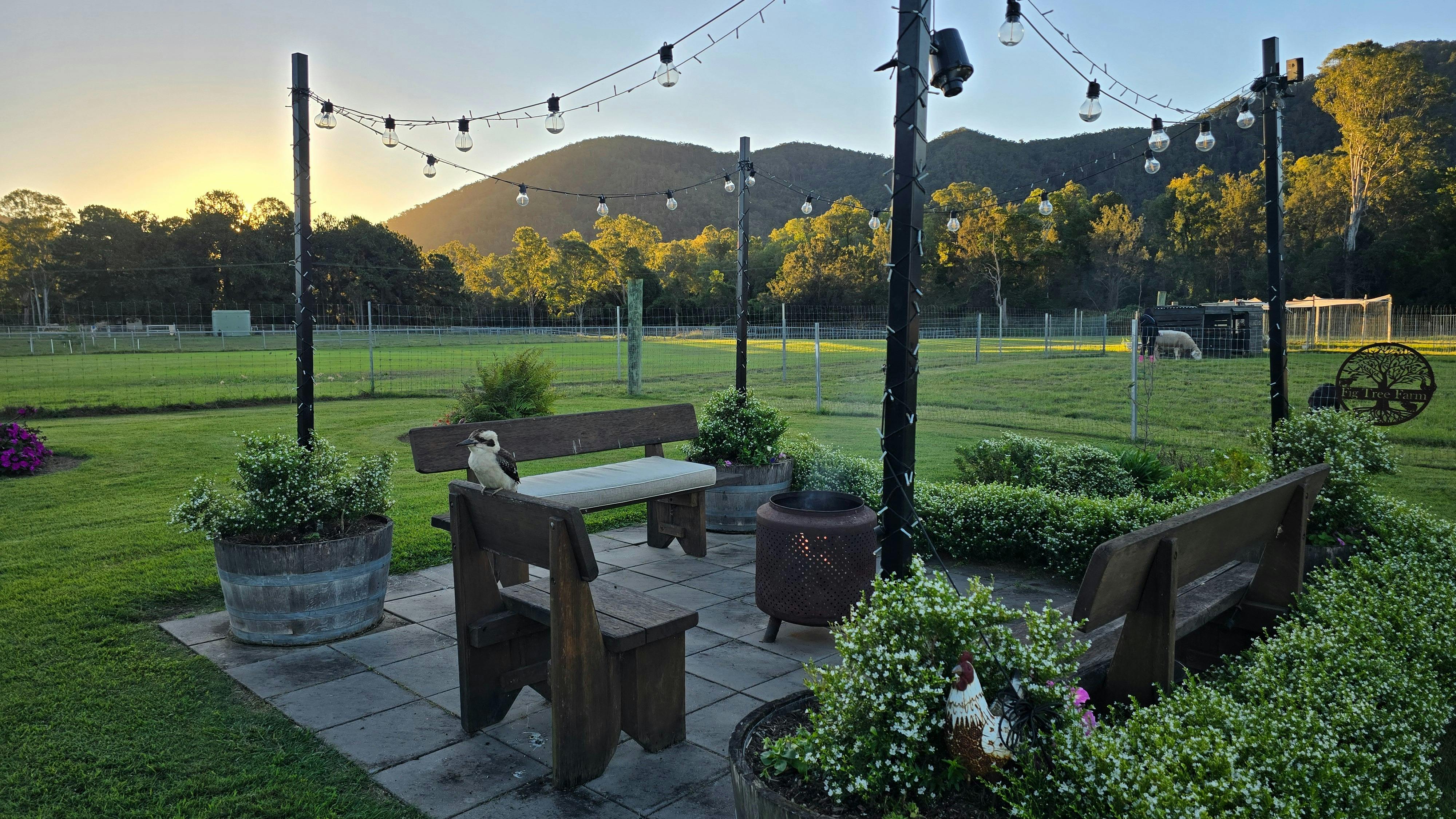 The outdoor firepit, lit with fairylights,  overlooks stunning mountain views at Fig Tree Farm.