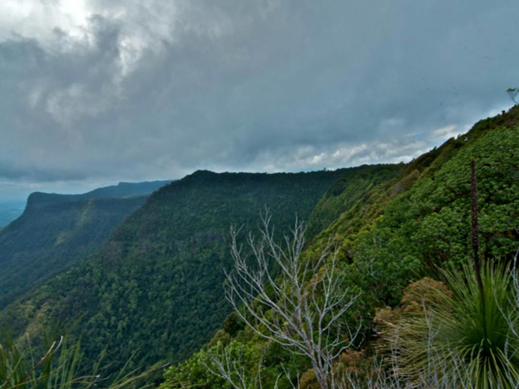 Pinnacle Walk and Lookout